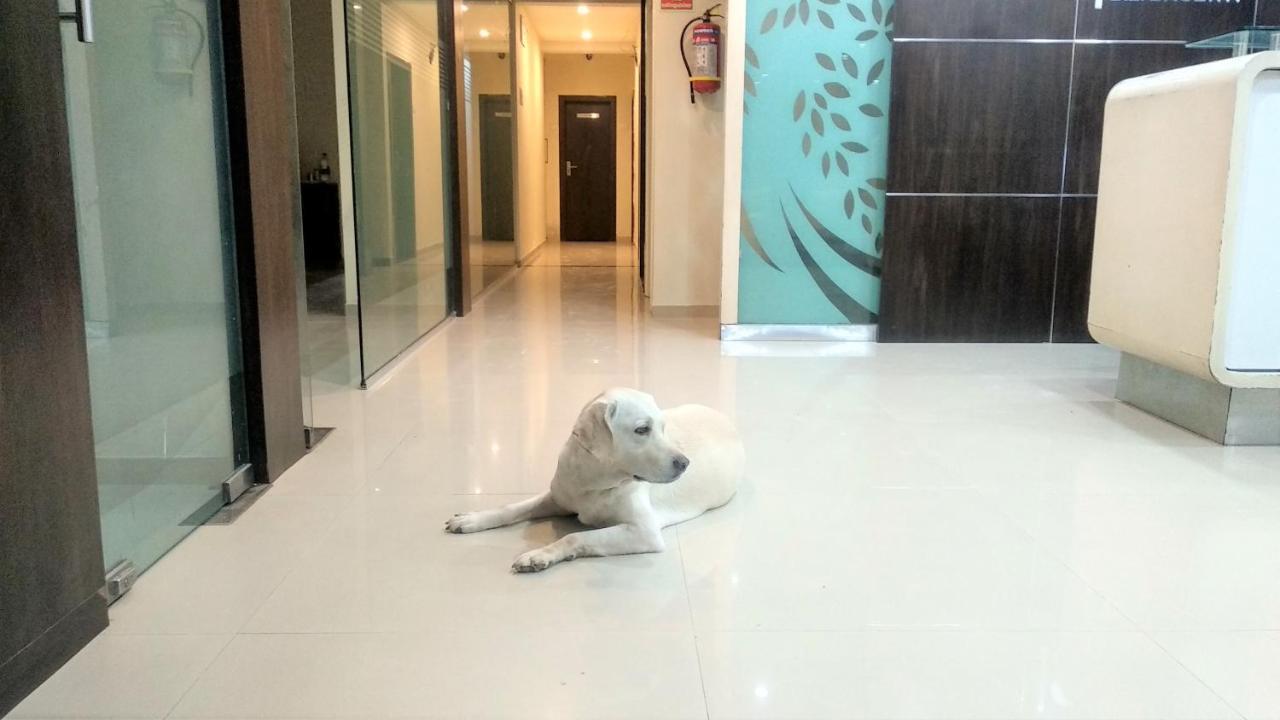 Sai Srushti By Neem Square Hotel Shirdi Buitenkant foto